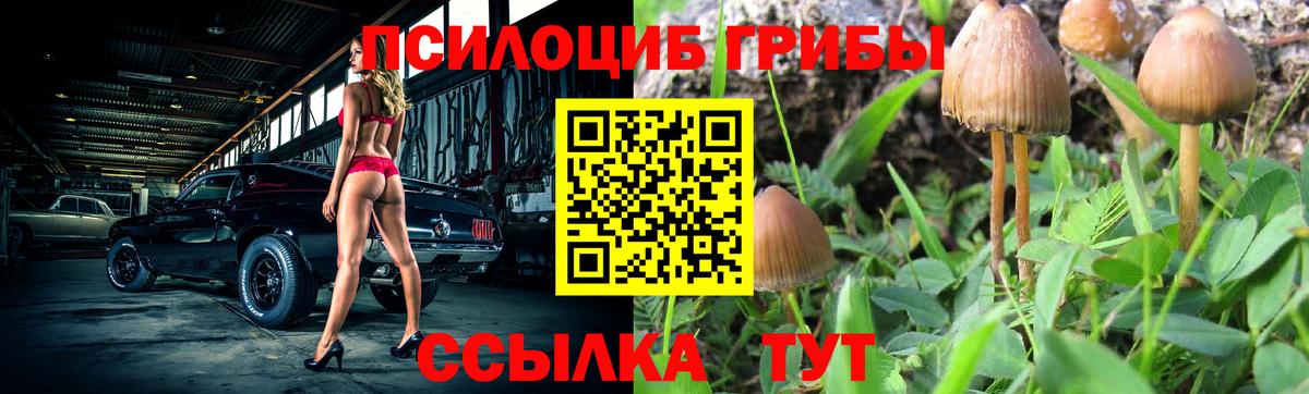где можно купить наркотик  Галлюциногенные грибы мухоморы  Вход с VPN  Тверь 