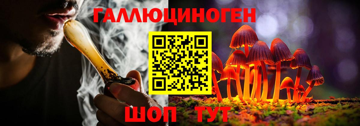 Галлюциногенные грибы GOLDEN TEACHER Тверь